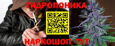 гидропоника Новозыбков