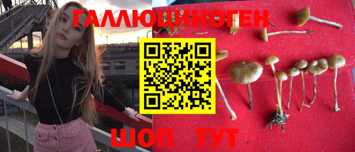 Псилоцибиновые грибы мухоморы  где продают наркотики  Славгород  Вход с VPN 